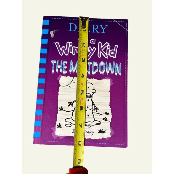 The Meltdown (Diary of a Wimpy Kid  Bk. 13) - Picture 9 of 11